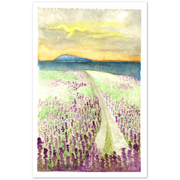 Neptunes Field-2