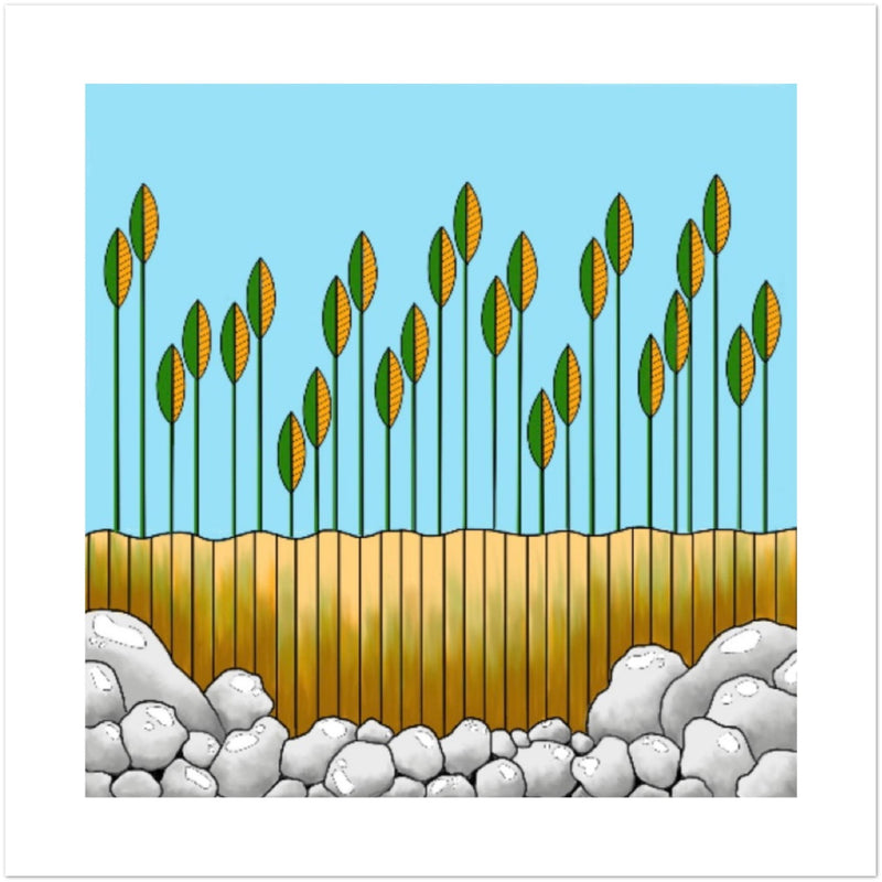 Note Cards for any occasion - Fall Harvest (US & CA)
