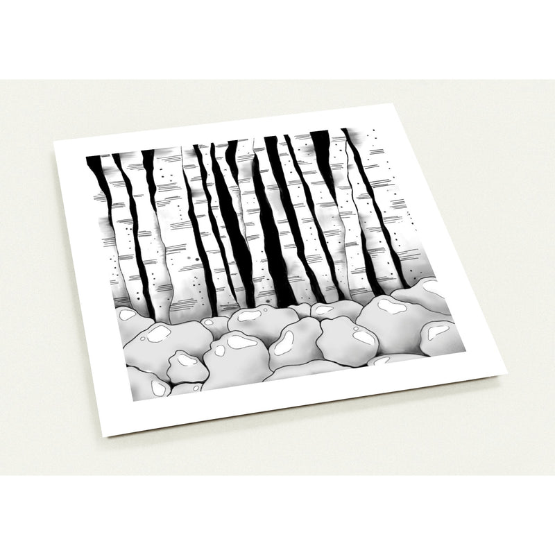 Note Cards for any occasions-Birch Trees (Europe)