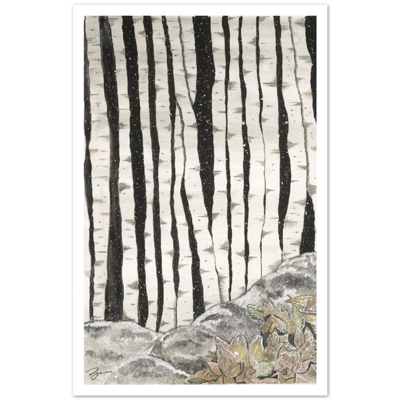 Birch Forest - Colors of Sweden