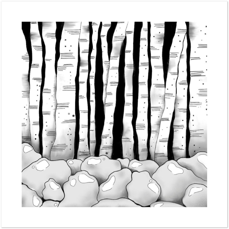 Note Cards for any occasion - Birch Trees (US & CA)